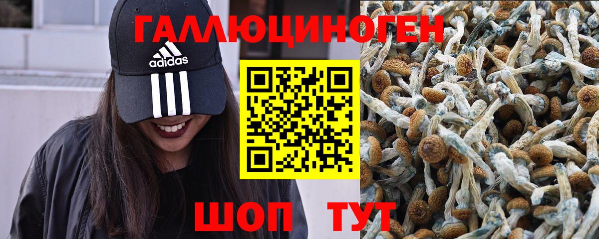 Ишим  Псилоцибиновые грибы MAGIC MUSHROOMS  Псилоцибиновые грибы MAGIC MUSHROOMS  Вход с VPN 