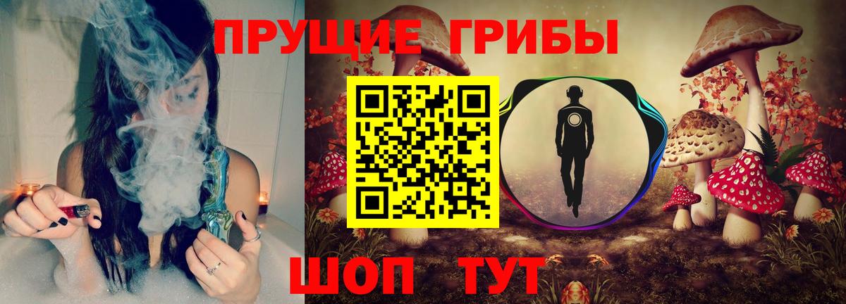 Галлюциногенные грибы Psilocybine cubensis Ишим